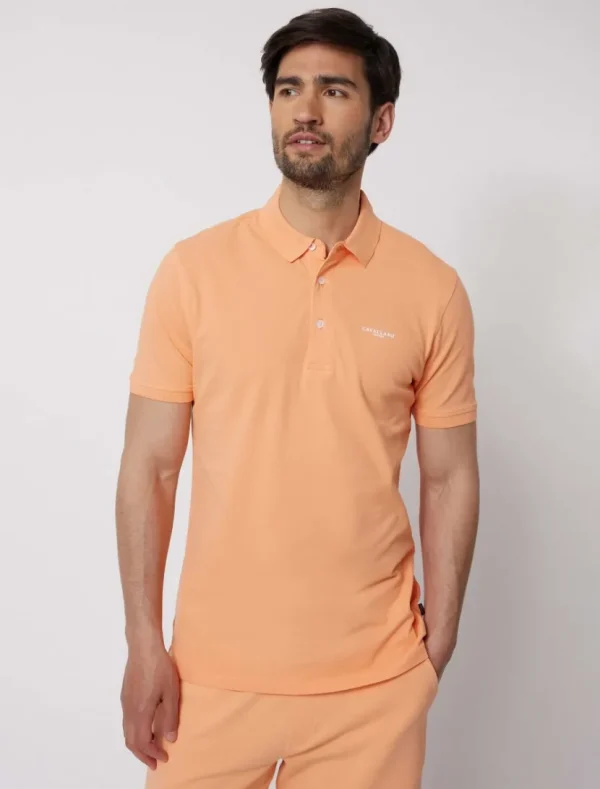 Online Cavallaro Napoli Cosimo Polo Koraal