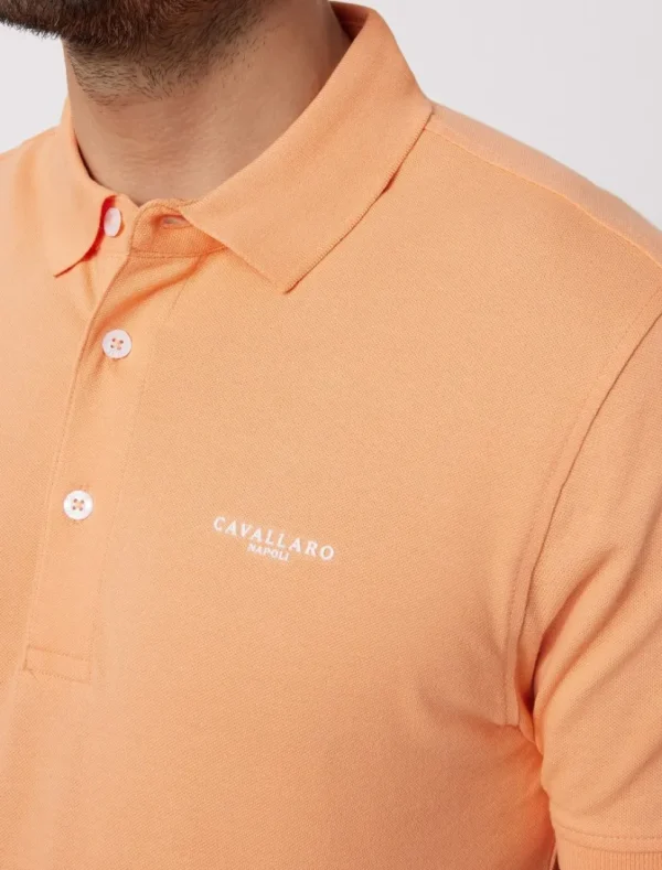 Online Cavallaro Napoli Cosimo Polo Koraal