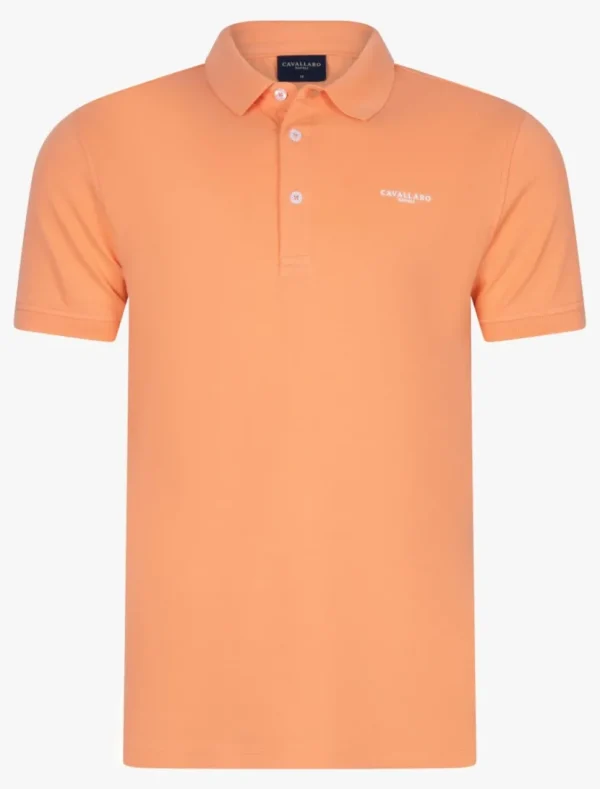 Online Cavallaro Napoli Cosimo Polo Koraal