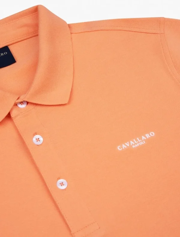 Online Cavallaro Napoli Cosimo Polo Koraal