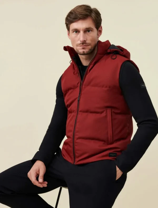 Shop Cavallaro Napoli Tanino Bodywarmer Donkerrood