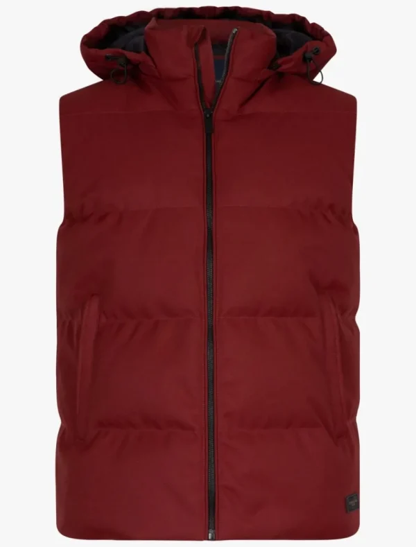 Shop Cavallaro Napoli Tanino Bodywarmer Donkerrood