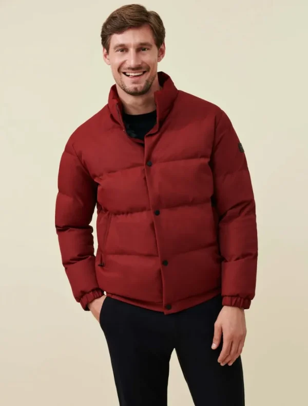 New Cavallaro Napoli Tanino Jas Donkerrood