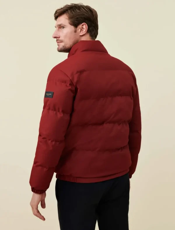 New Cavallaro Napoli Tanino Jas Donkerrood